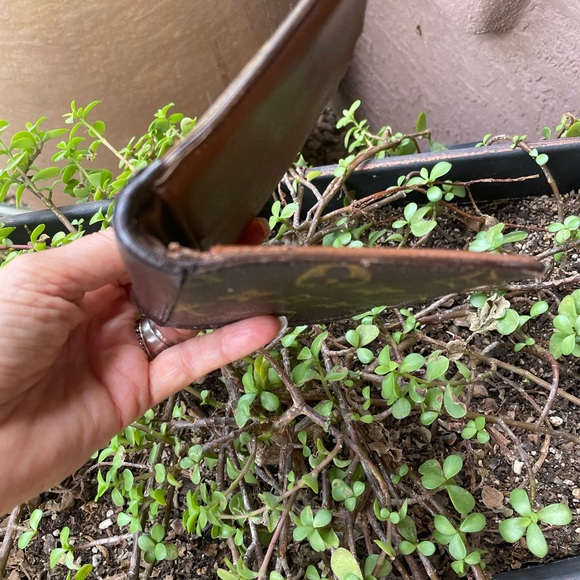 Louis Vuitton men’s Wallet - Picture 3 of 15